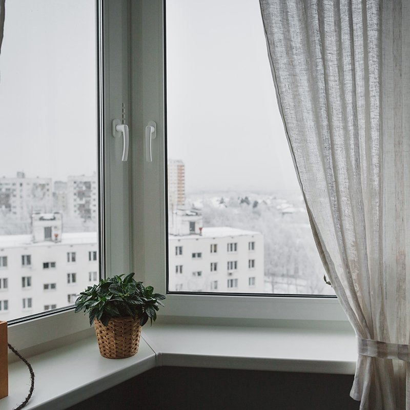 Winter landscape outside the window with curtains. On the windowsill is green houseplant. The atmosphere of coziness.